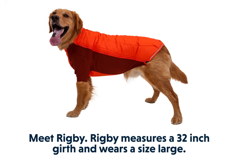 Ruffwear Powder Hound Jacket