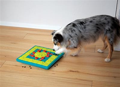 Nina Ottosson MultiPuzzle Interactive Treat Dog Puzzle Toy Blue Level 4