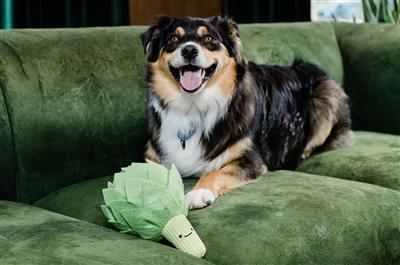 Injoya Artichoke Snuffle Toy