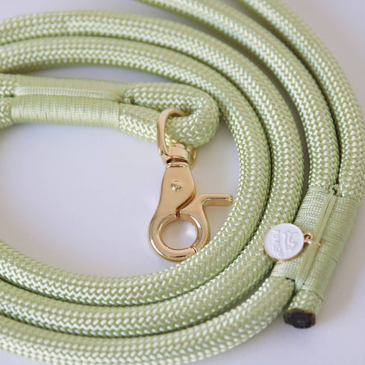 Braided Rope Leash - Lime Green