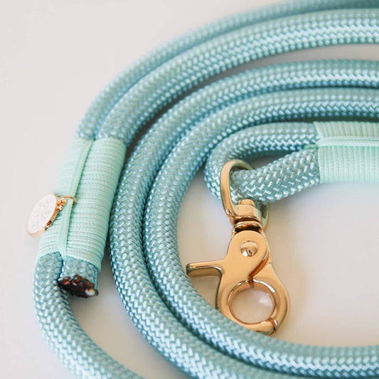 Braided Rope Leash - Aqua