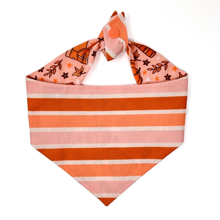 Boho Pumpkin Spice Reversible Tie On Dog Bandana