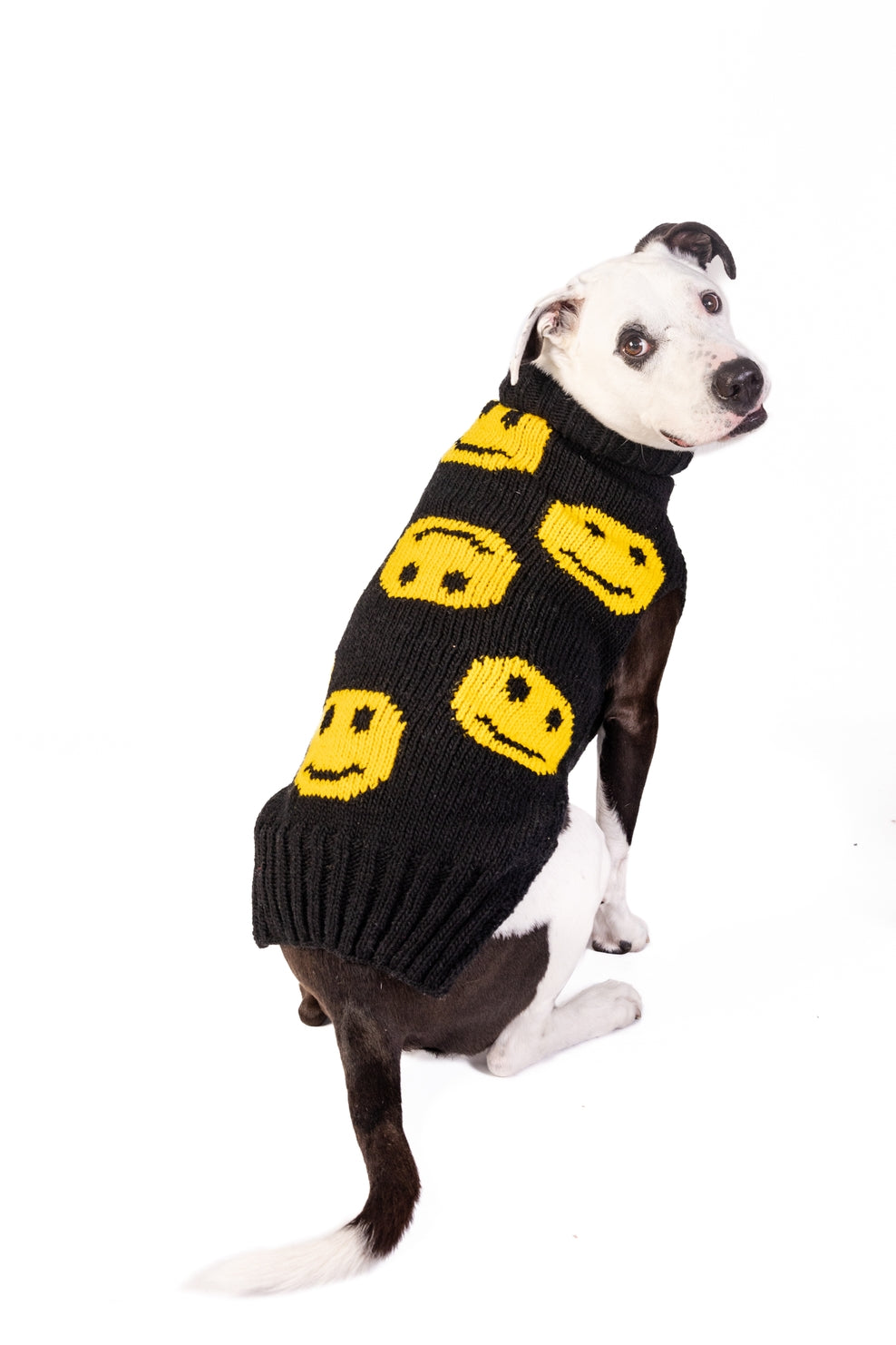 Chilly Dog Smiley Dog and Cat Sweater