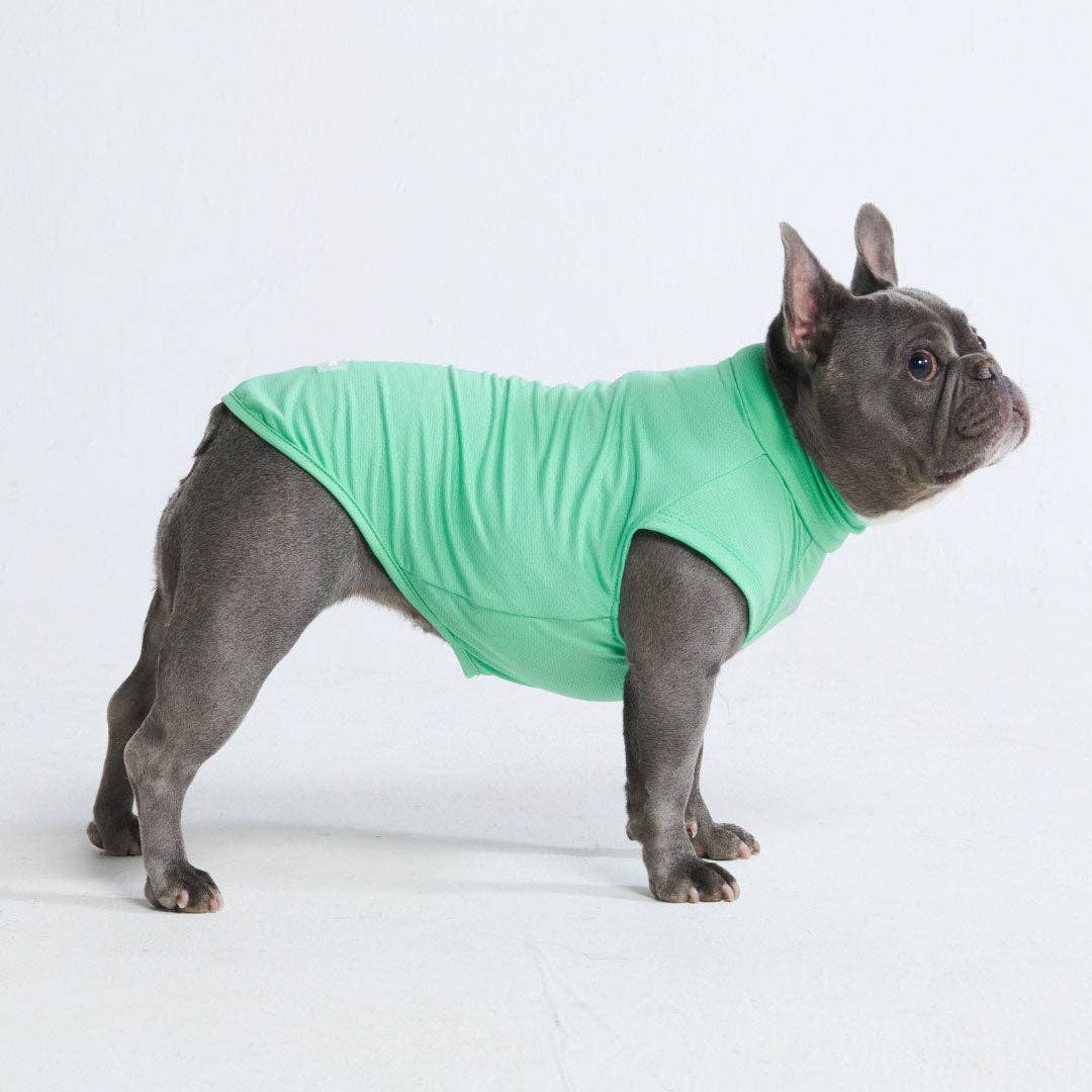 Spark Paws Sunblock Dog T-Shirt - Mint