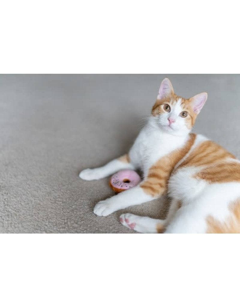 Feline Frenzy Catnip Kitty Kreme Doughnuts