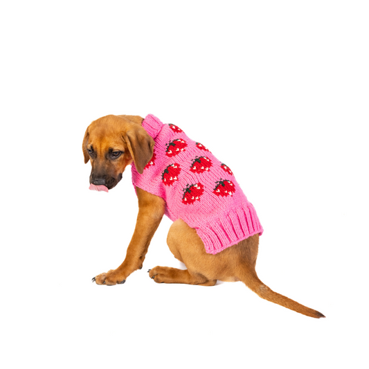 Chilly Dog Strawberry Dog and Cat Sweater