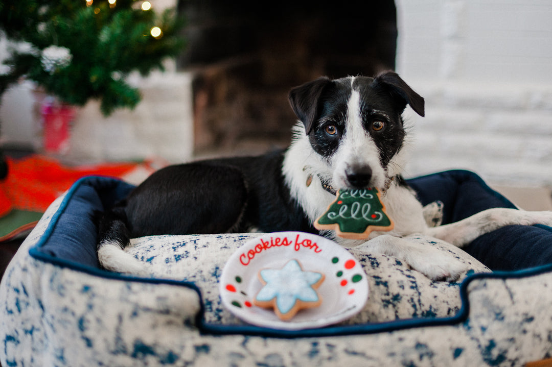 Merry Woofmas Christmas Eve Cookies Dog Toy