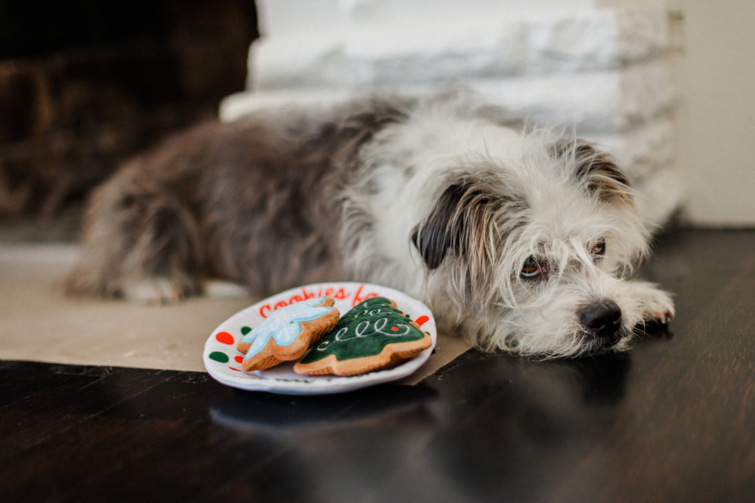 Merry Woofmas Christmas Eve Cookies Dog Toy